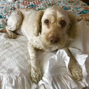 Meet your Posher, Nancy